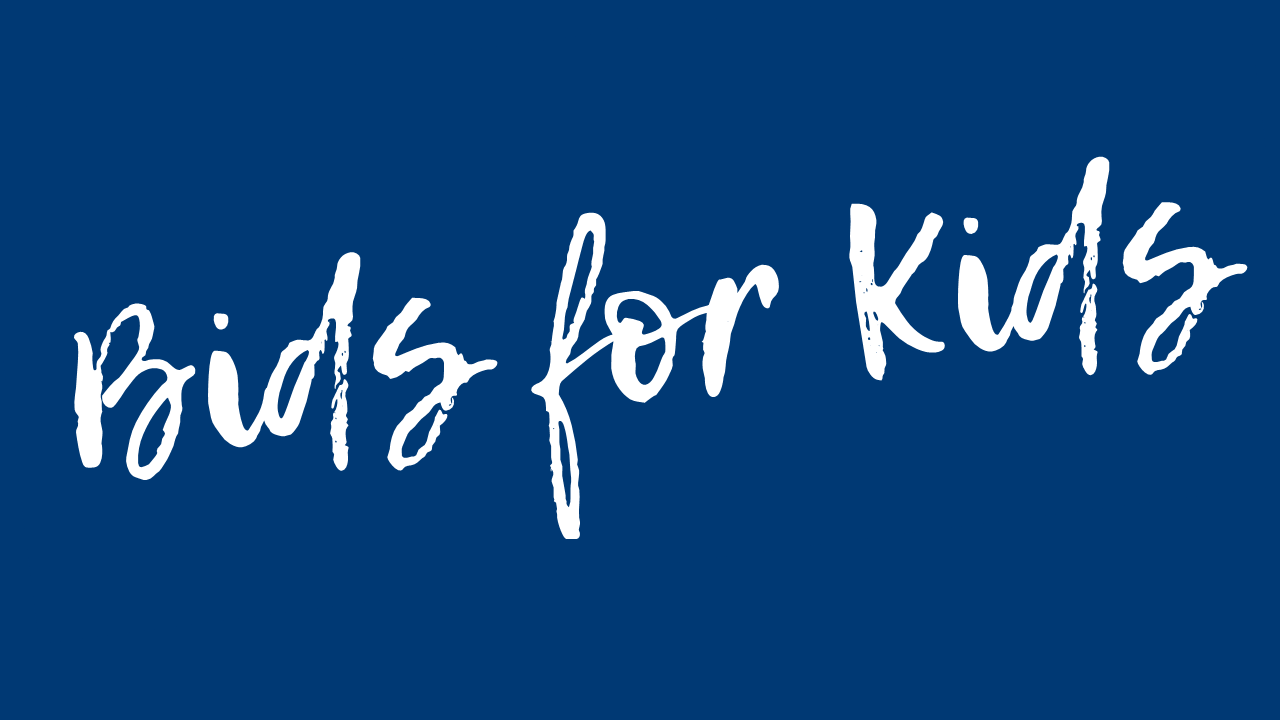 bidsforkids.auction